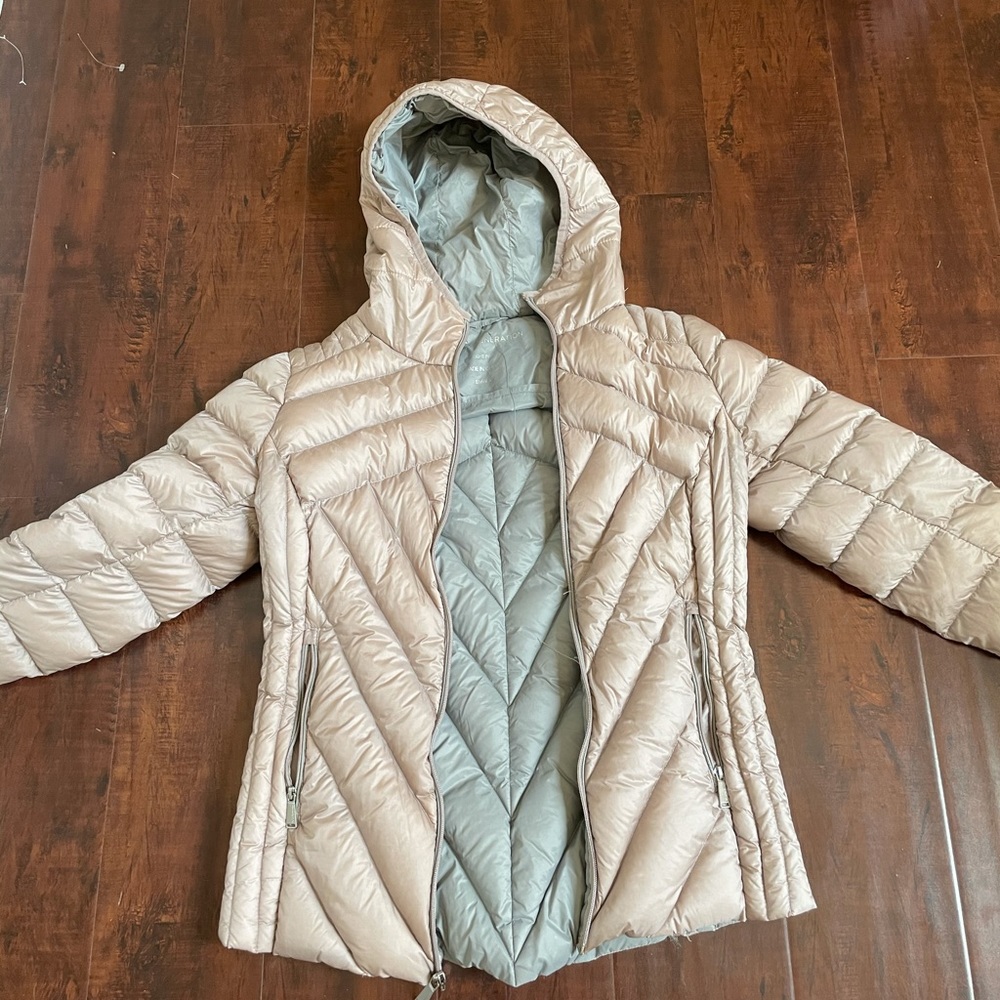 BCBG puffer jacket
